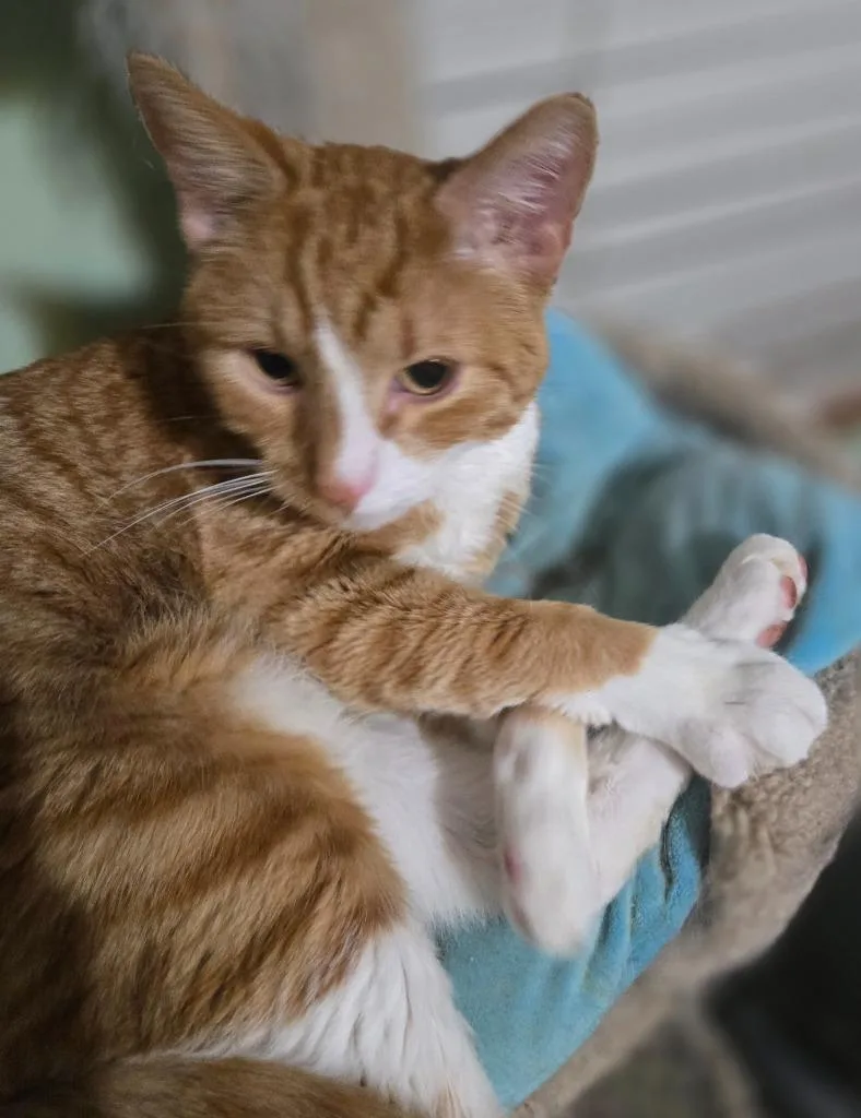 Jonah Aka Jack thumbnail 2