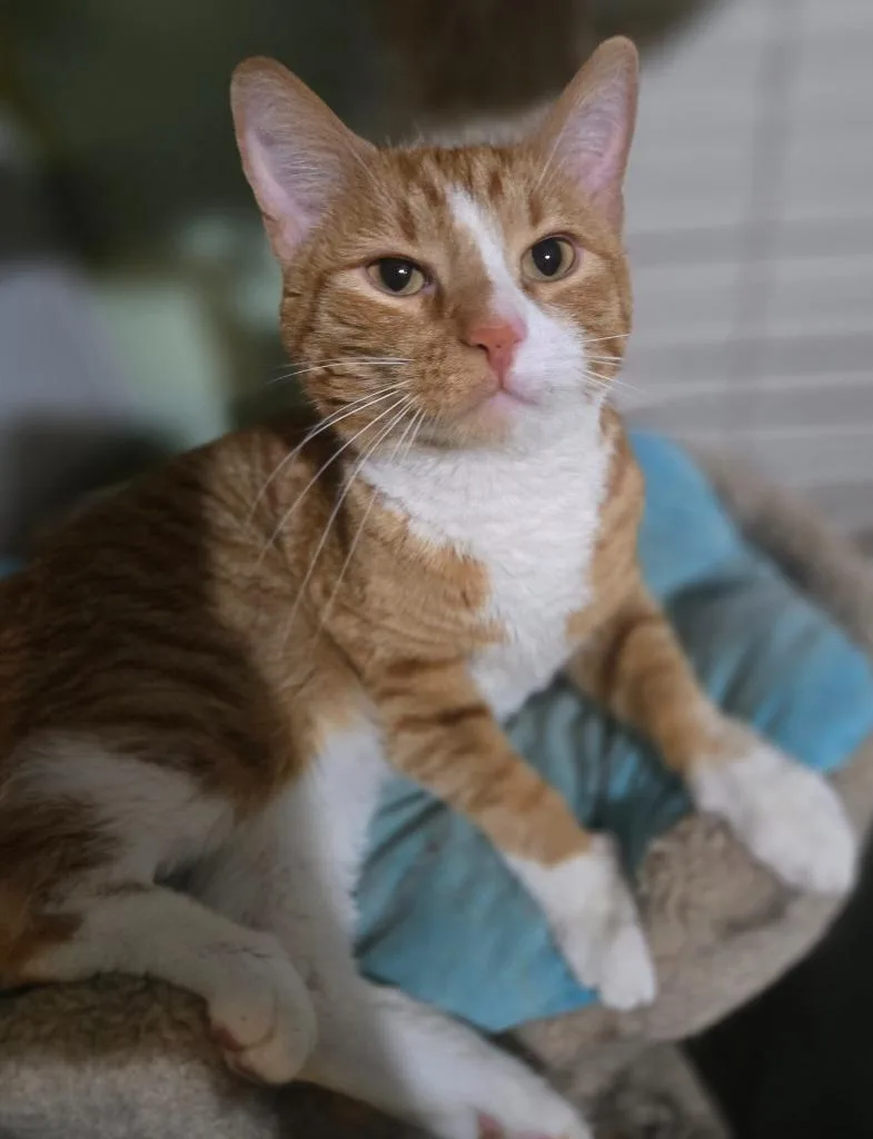 Jonah Aka Jack thumbnail 3