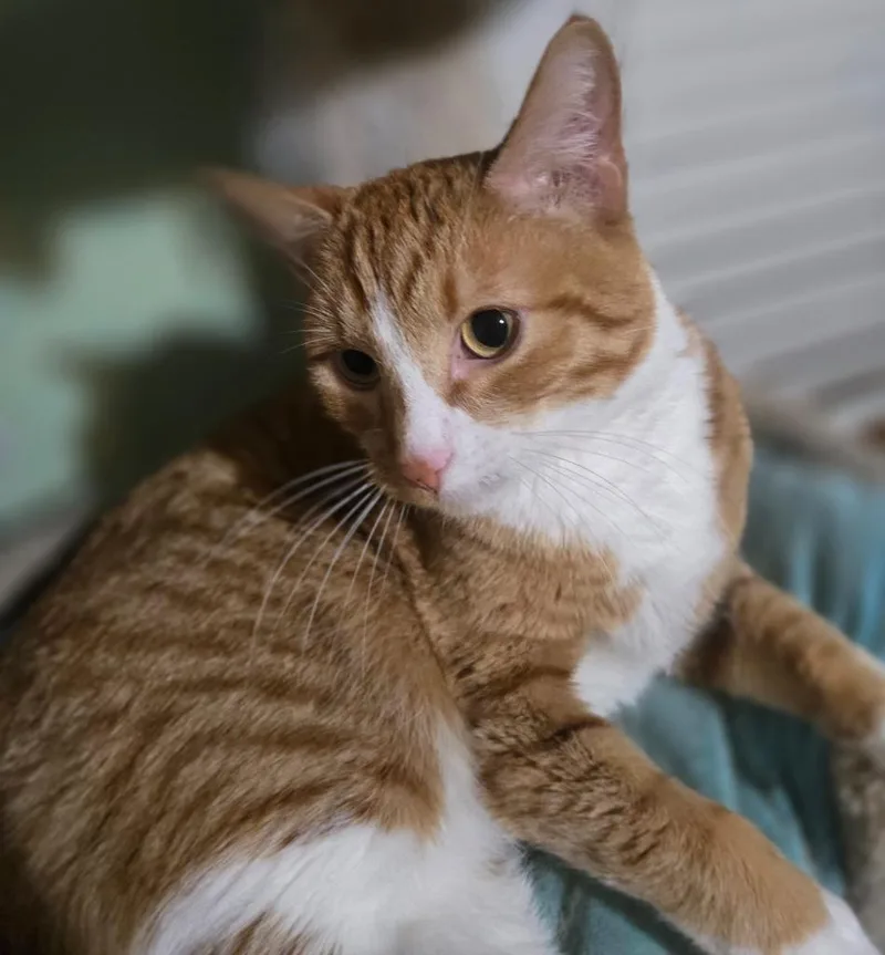 Jonah Aka Jack thumbnail 4