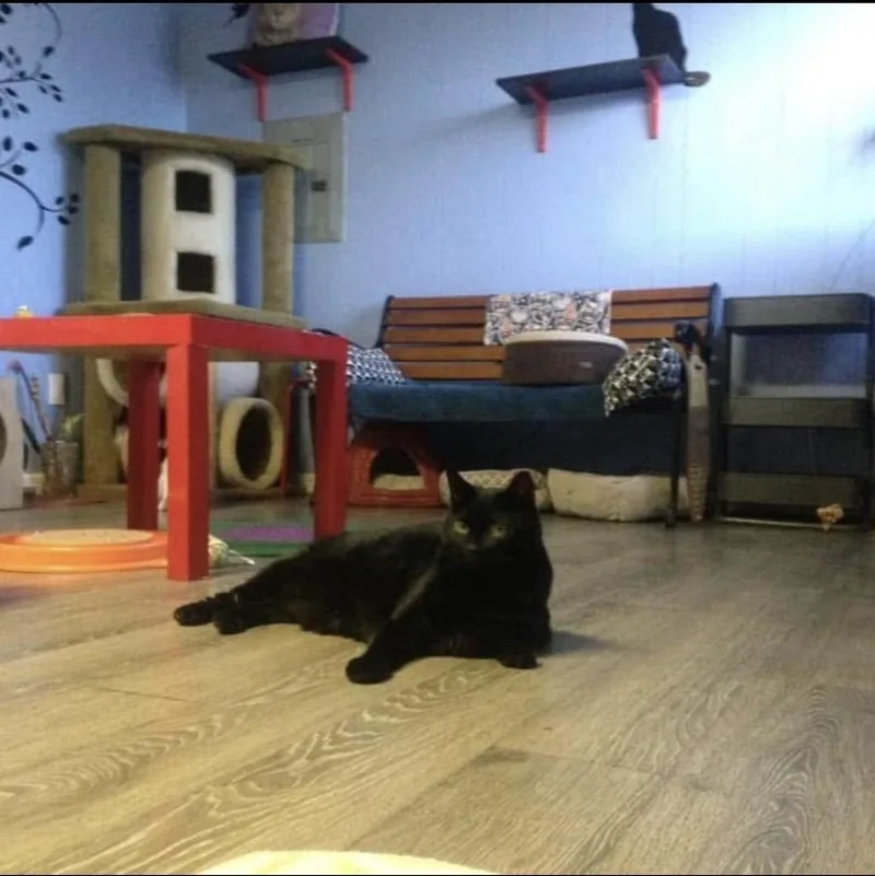 Ms Marvellous Marnie thumbnail 2