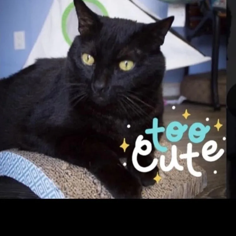 Ms Marvellous Marnie