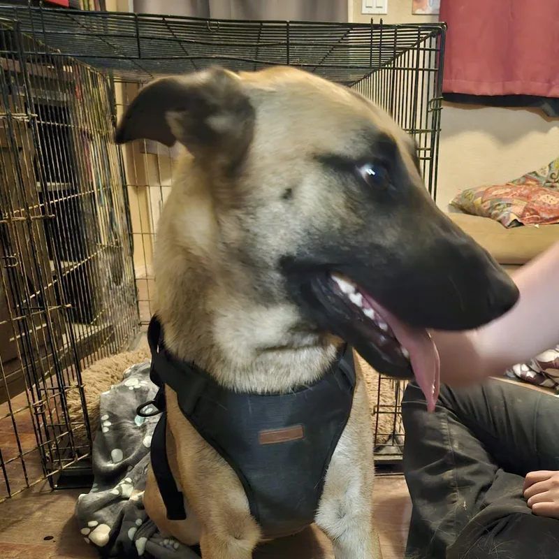 Good Girl Amber Aka thumbnail 3