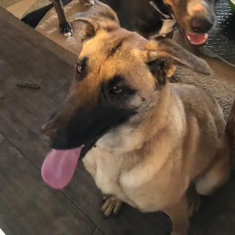 Good Girl Amber Aka thumbnail 4