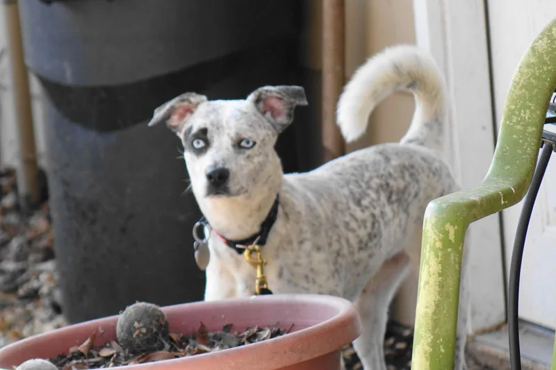 Samantha thumbnail 2