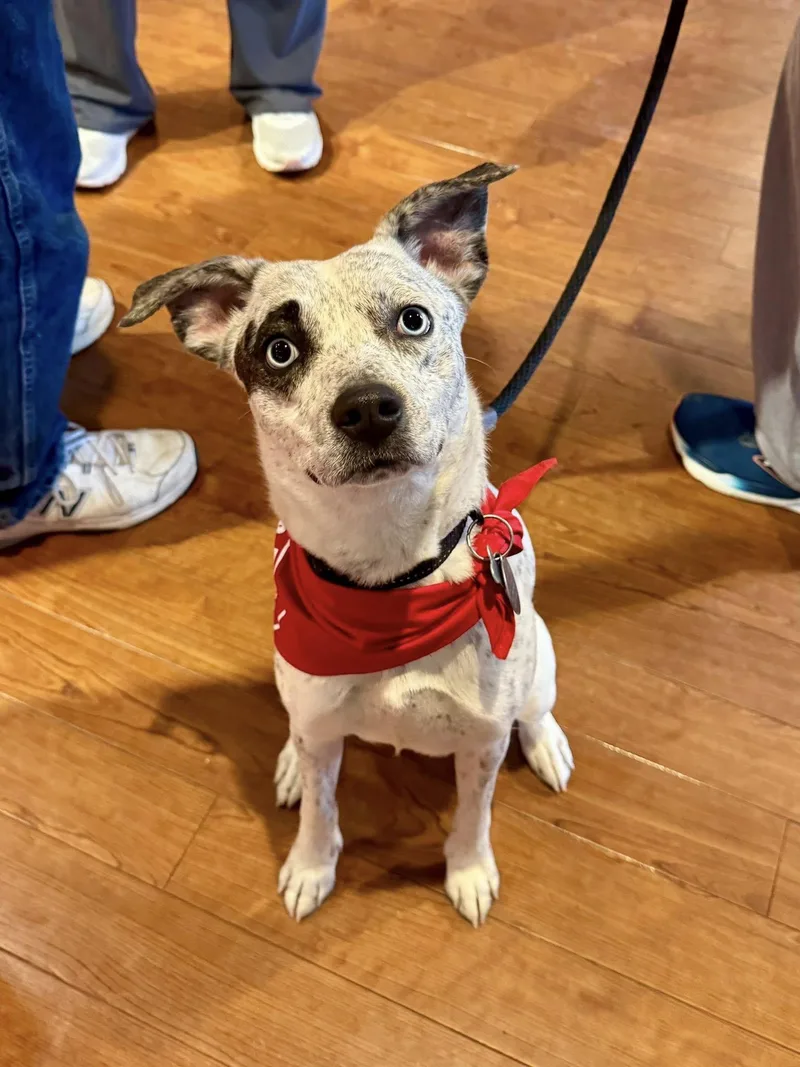 Samantha thumbnail 3