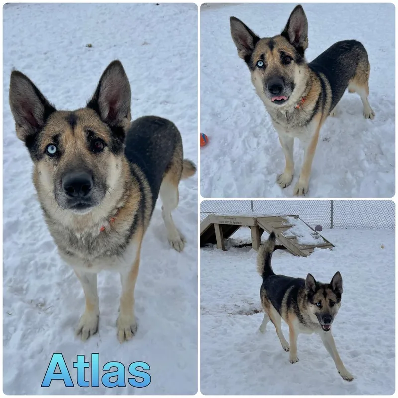 Atlas thumbnail 6