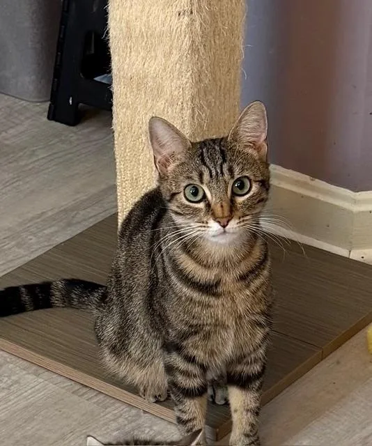 Momma Bow Featured At thumbnail 4