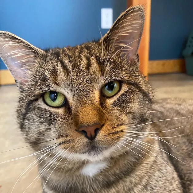 Maverick thumbnail 3