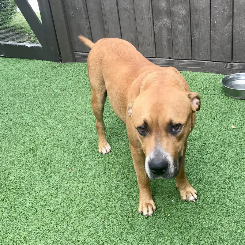 Chloe Aka Merkava thumbnail 2