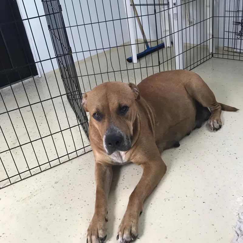 Chloe Aka Merkava thumbnail 4