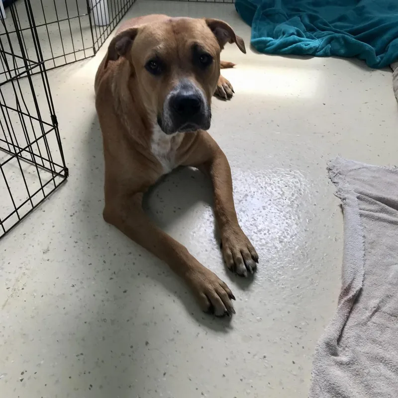 Chloe Aka Merkava thumbnail 6