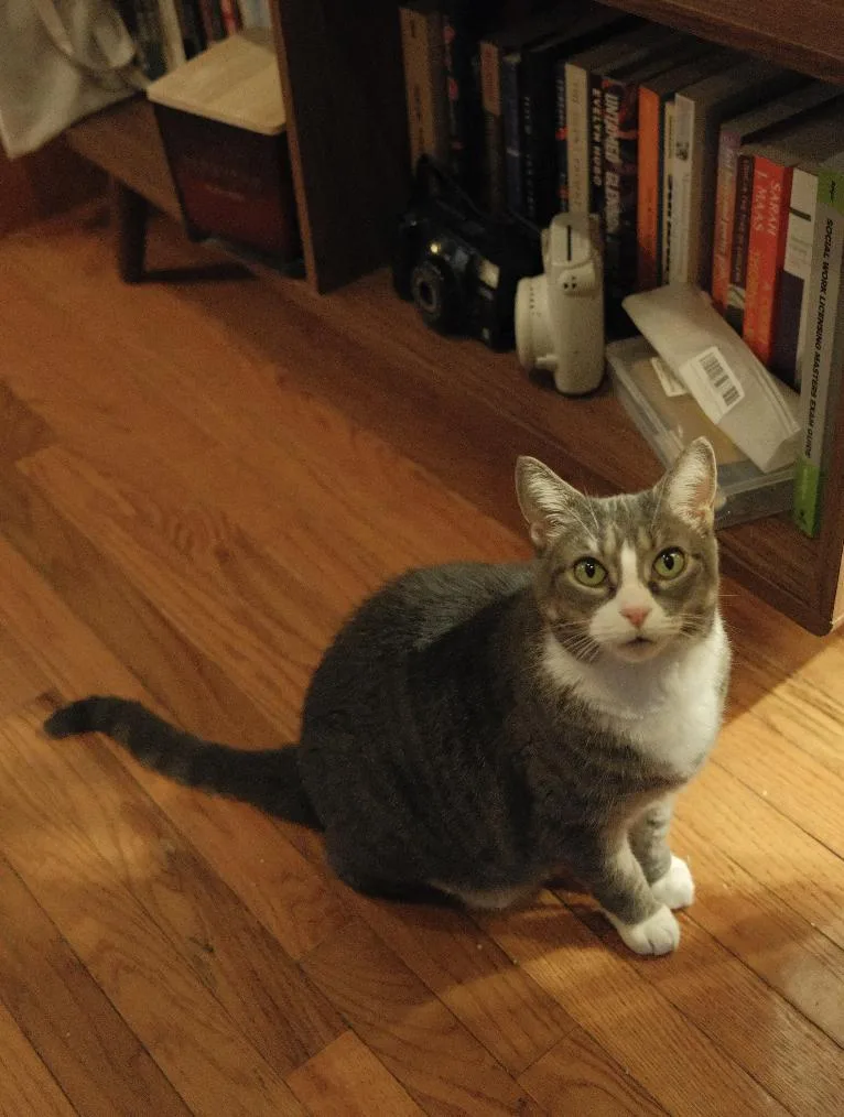 Carolanne thumbnail 2