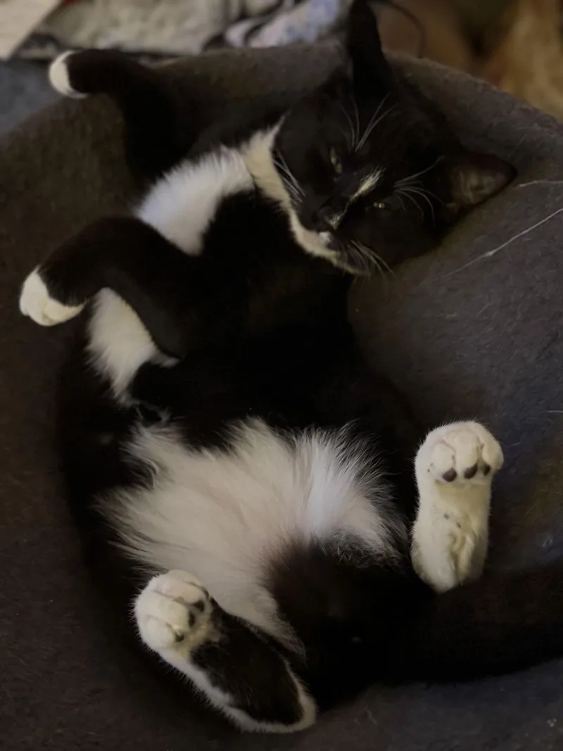 Birdie And Becca thumbnail 2