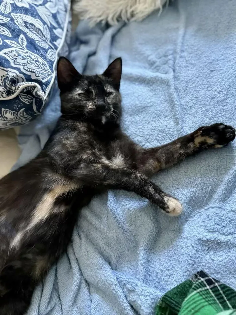 Birdie And Becca thumbnail 3