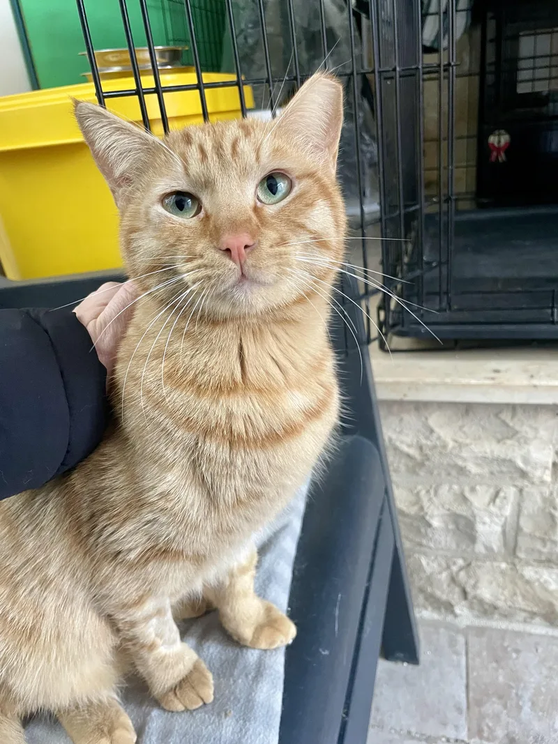 Mucho And Lucho  thumbnail 4