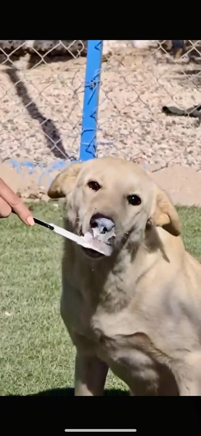 Naya  The Sweetest thumbnail 4