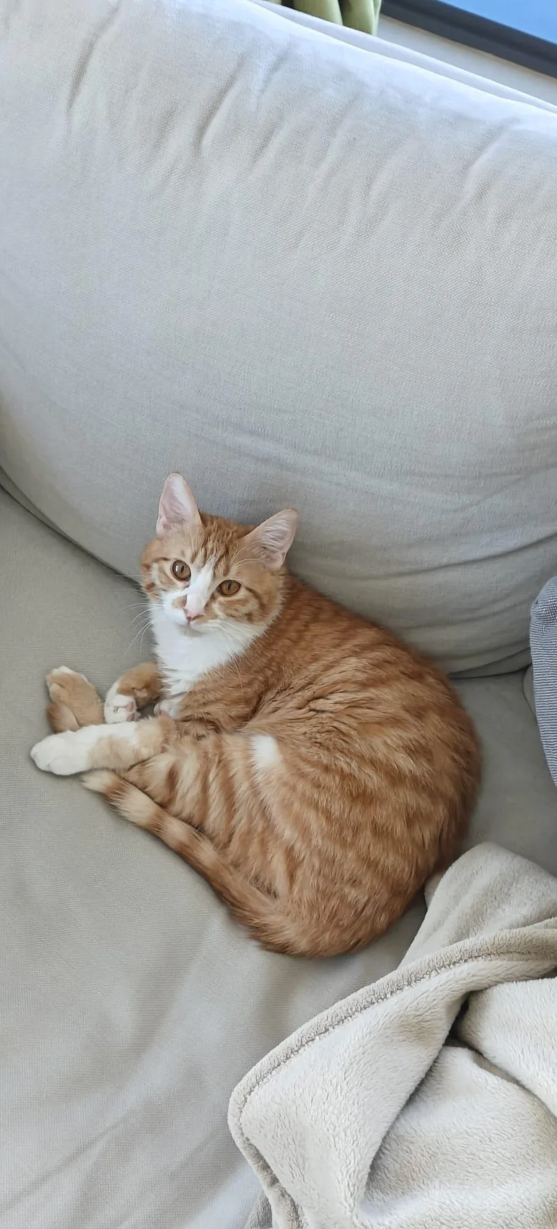 Nour  The Ray thumbnail 3