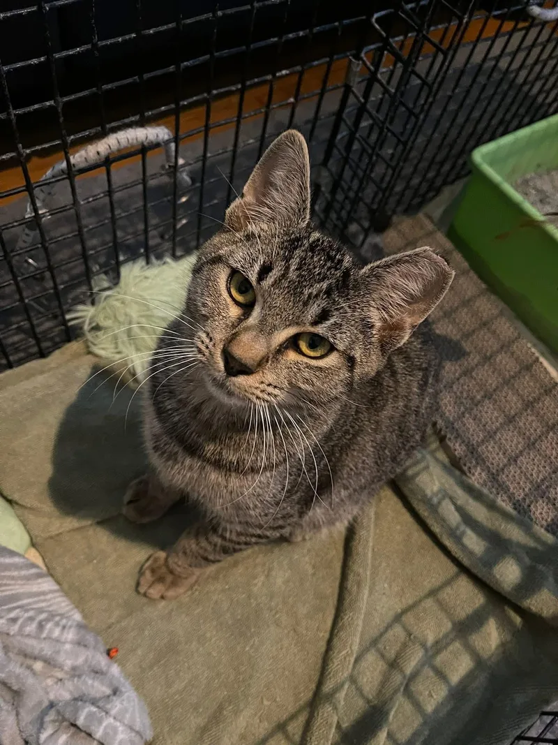 Cooper & Oliver thumbnail 2