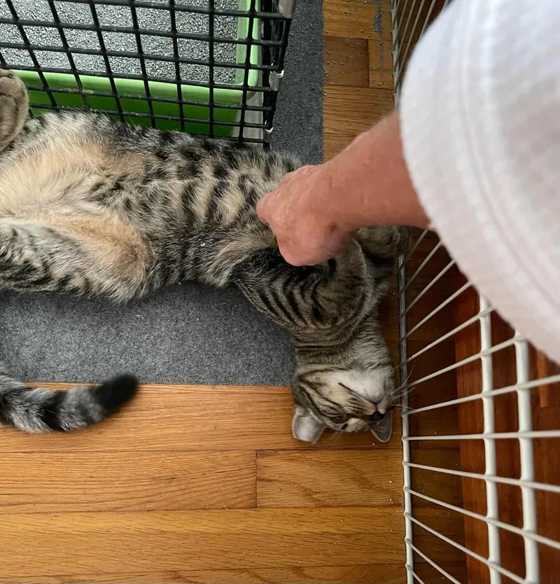 Cooper & Oliver thumbnail 3