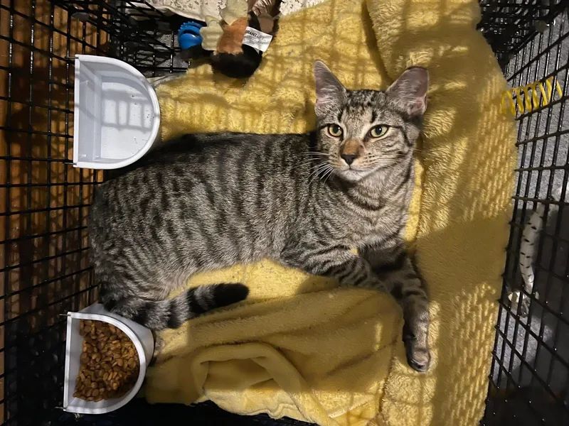 Cooper & Oliver thumbnail 5