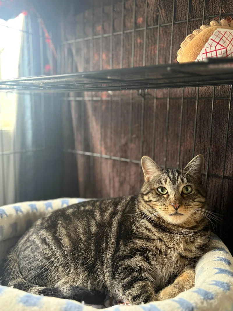 Ben & Jerry thumbnail 2