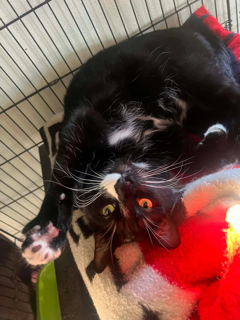 Ben & Jerry thumbnail 3