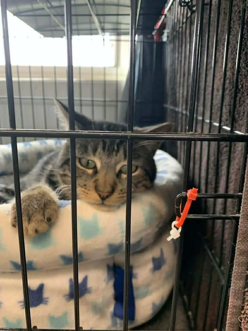 Ben & Jerry thumbnail 4