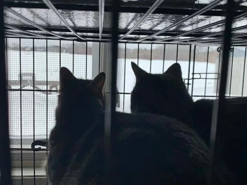 Ben & Jerry thumbnail 5