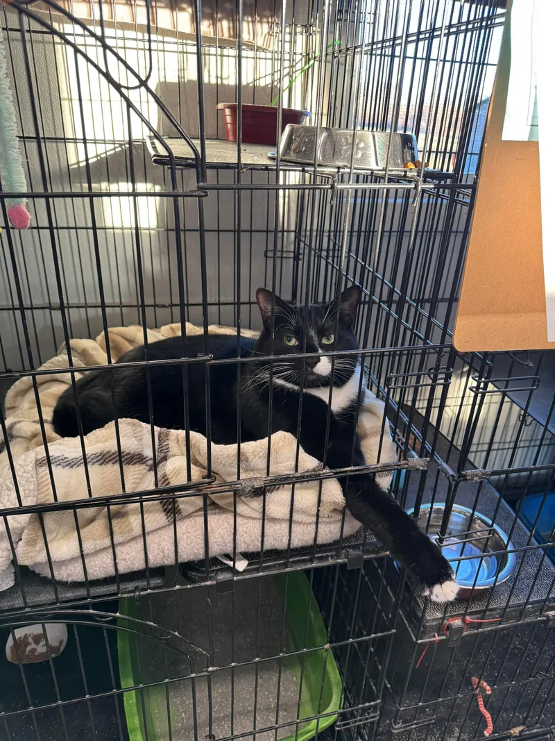 Ben & Jerry thumbnail 6