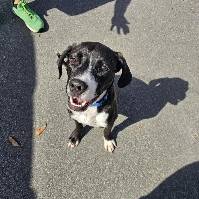 Cosmo Iv thumbnail 6