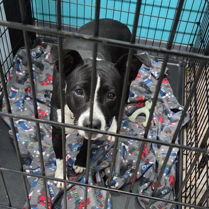 Sugar Mama thumbnail 2