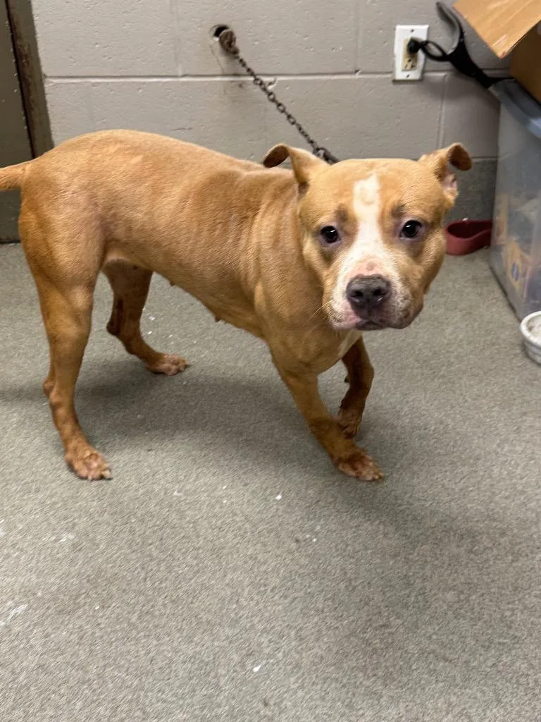 Macylonnie thumbnail 3