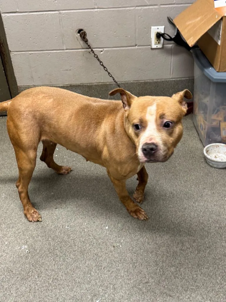 Macylonnie thumbnail 4