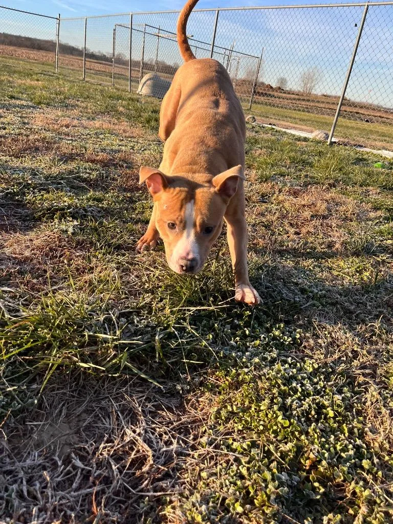 Macylonnie thumbnail 5