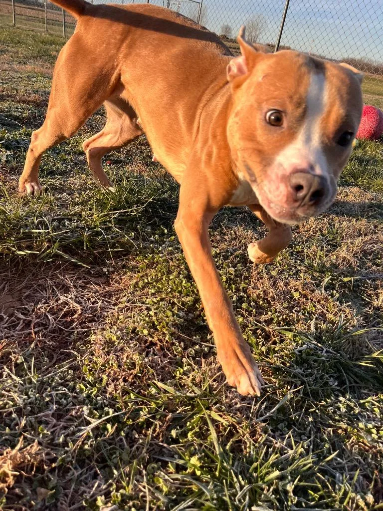 Macylonnie thumbnail 6