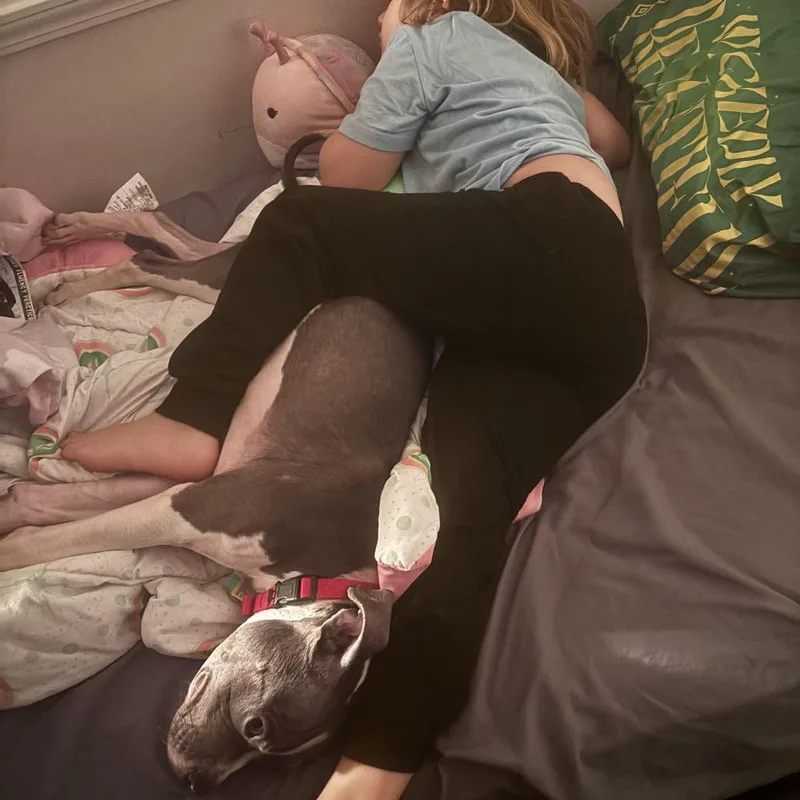 Platypus "pladdy" thumbnail 5