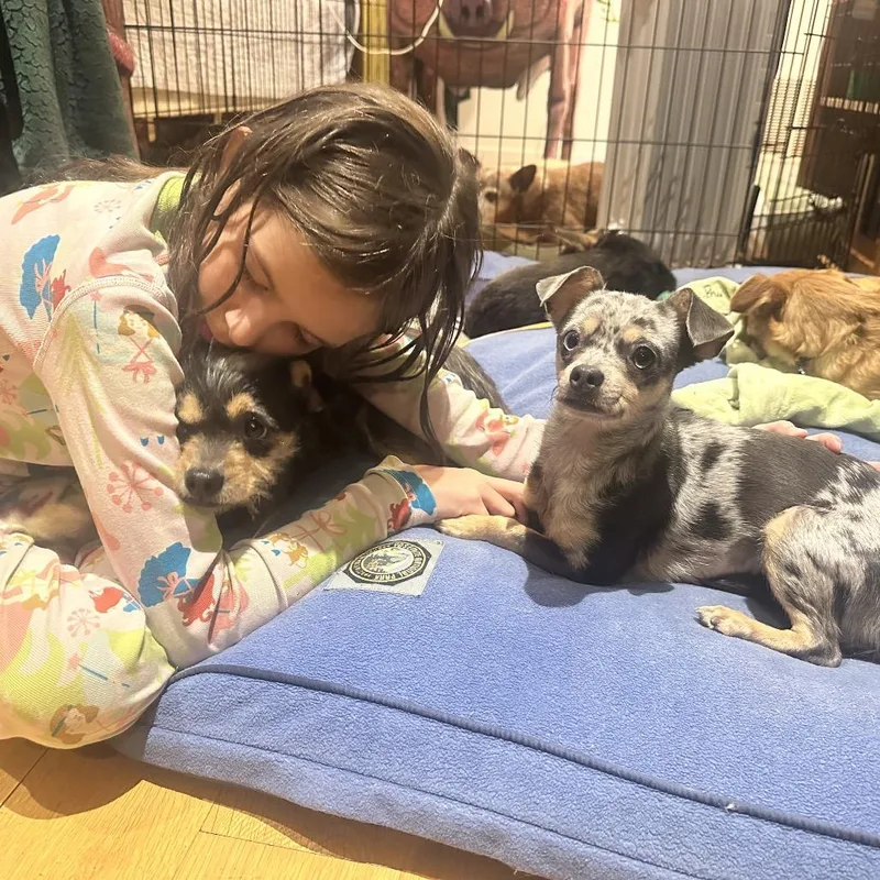 Little Lola thumbnail 2