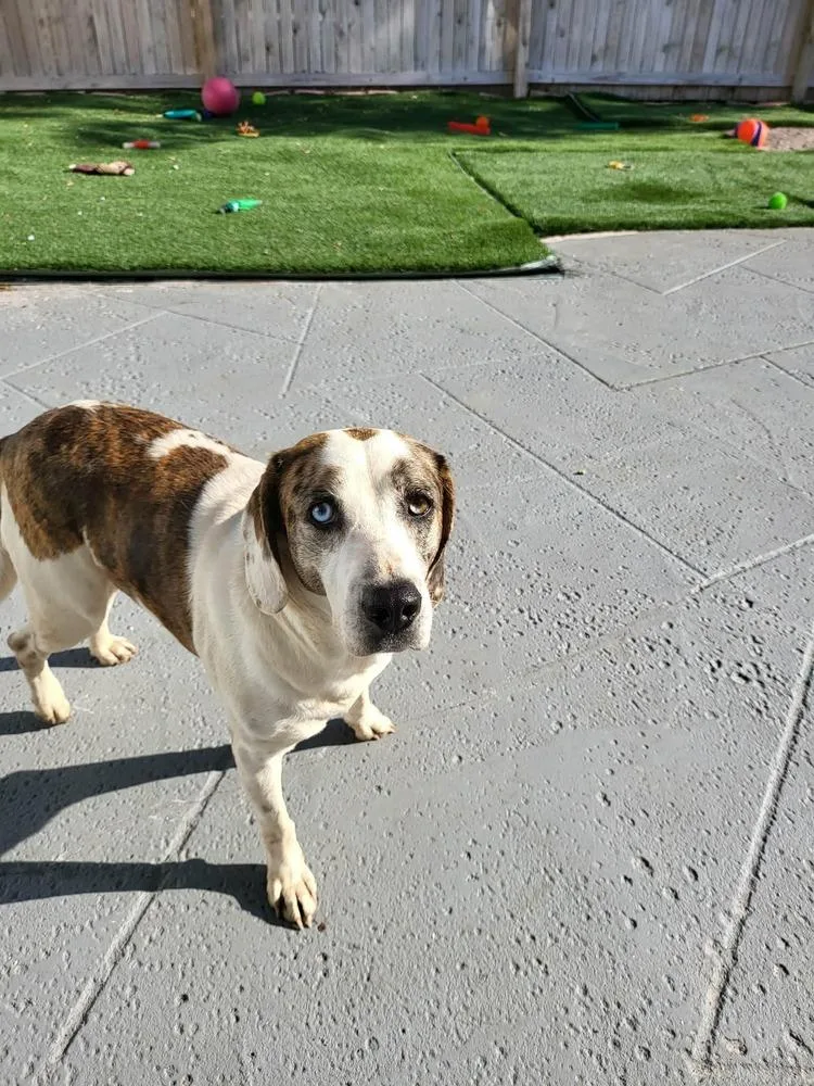 Mackenzie thumbnail 2