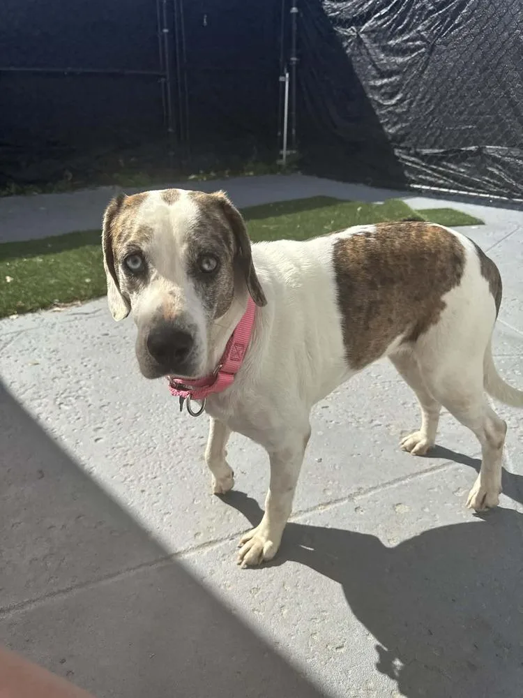 Mackenzie thumbnail 3