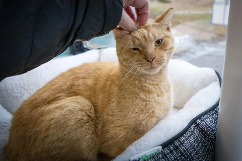 Drifterc thumbnail 2