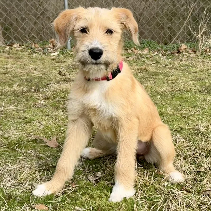 Evie Loves Water thumbnail 2