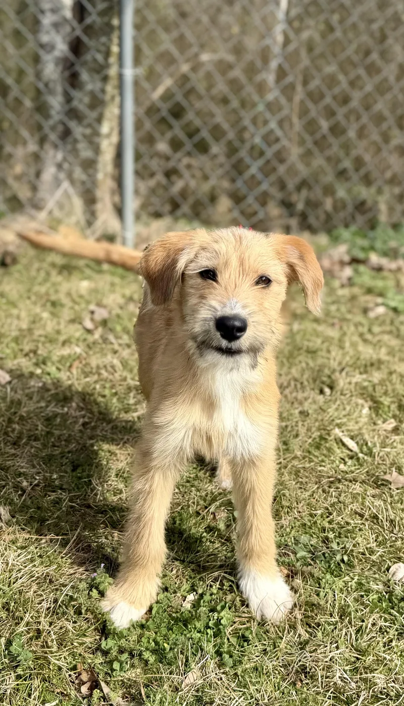 Evie Loves Water thumbnail 3