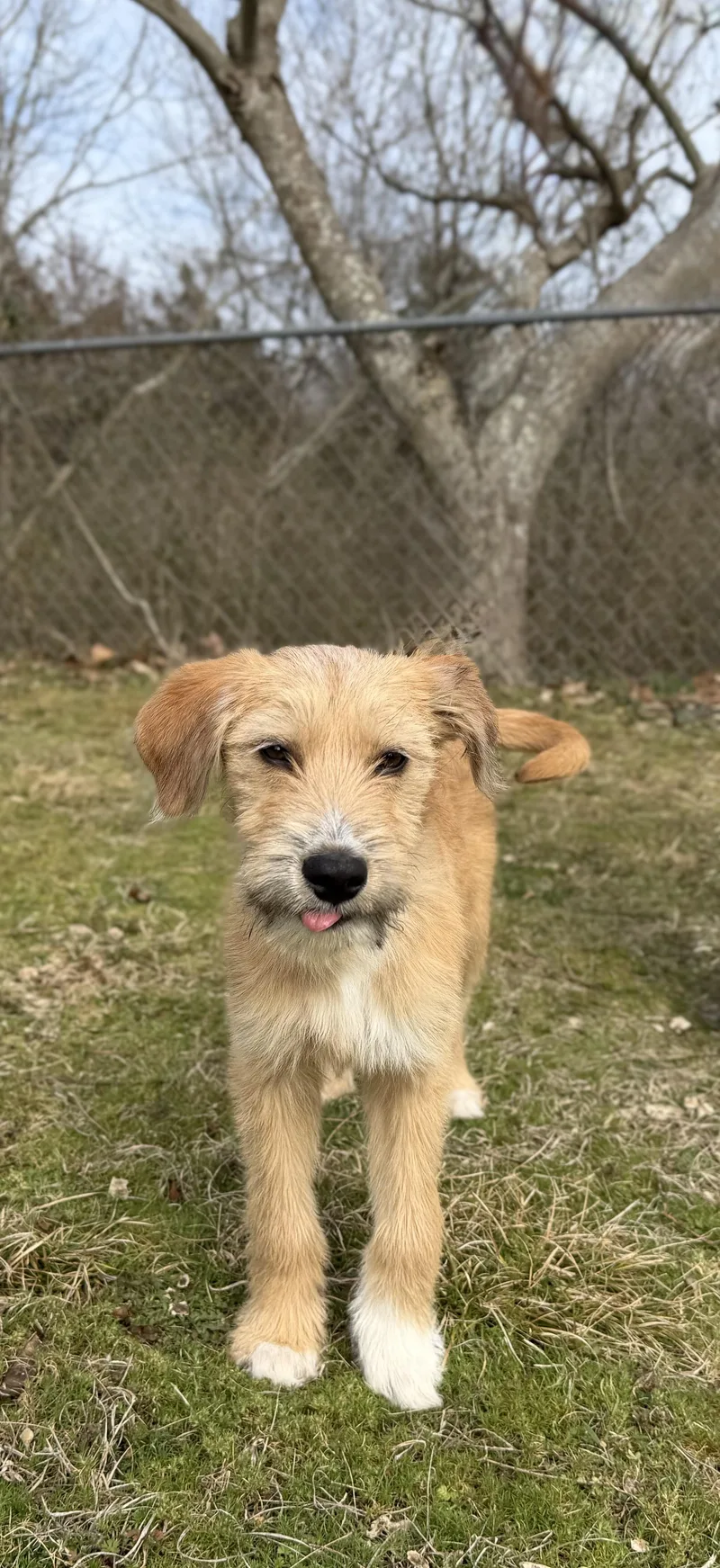 Evie Loves Water thumbnail 4