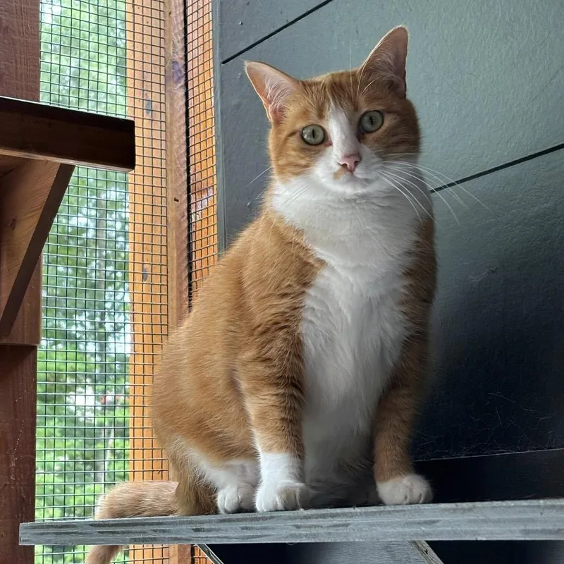 Greta Garbo thumbnail 2