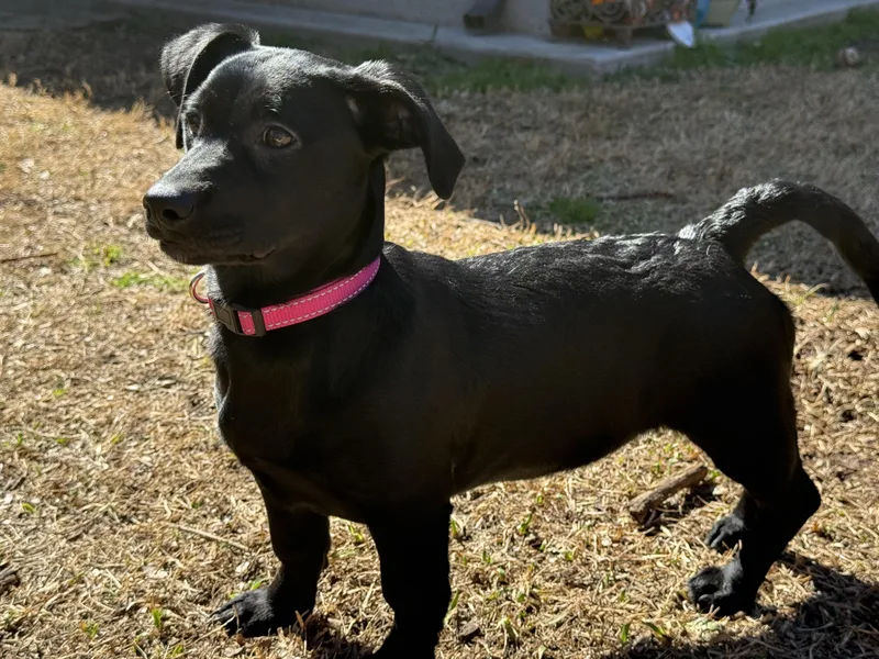 Valentina Grace thumbnail 4