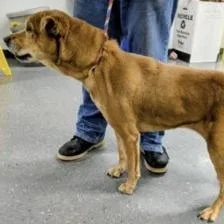 Sippy Ab thumbnail 2