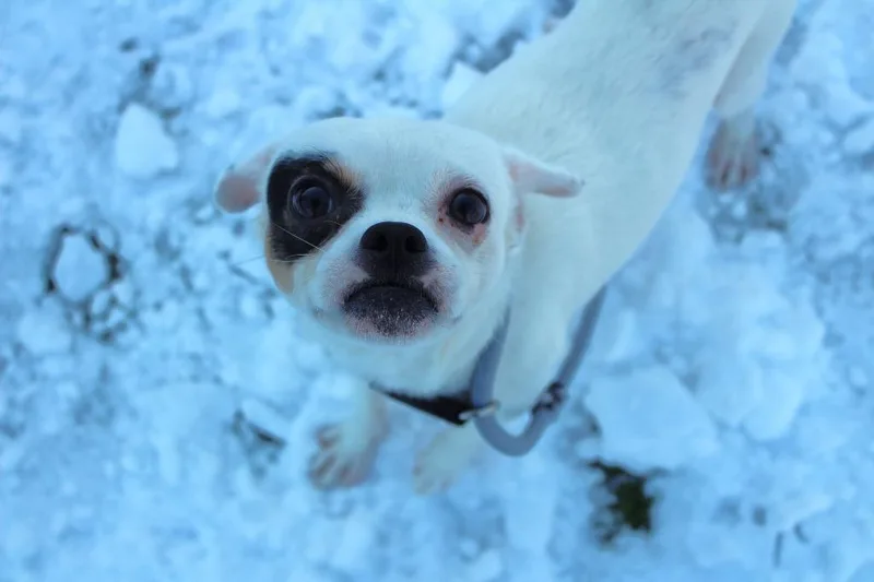 Kevin Costner thumbnail 2