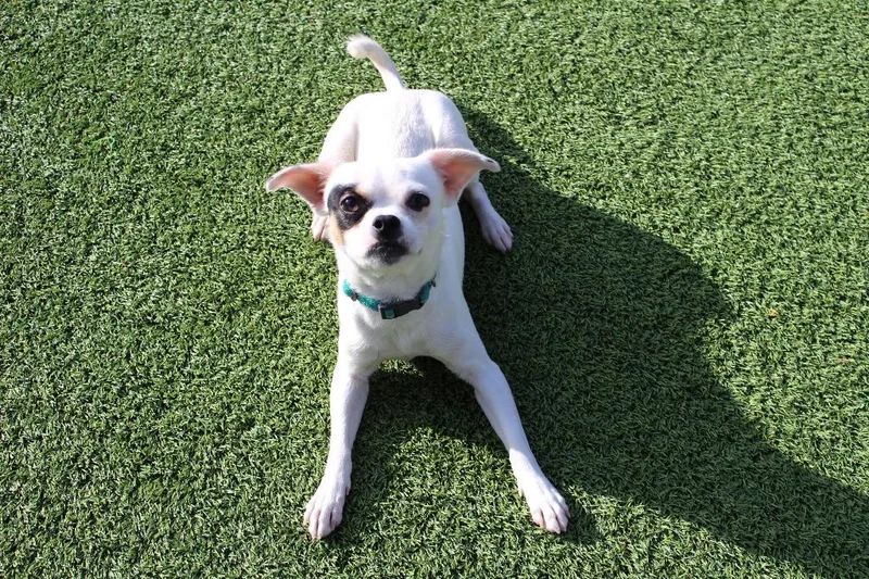 Kevin Costner thumbnail 4