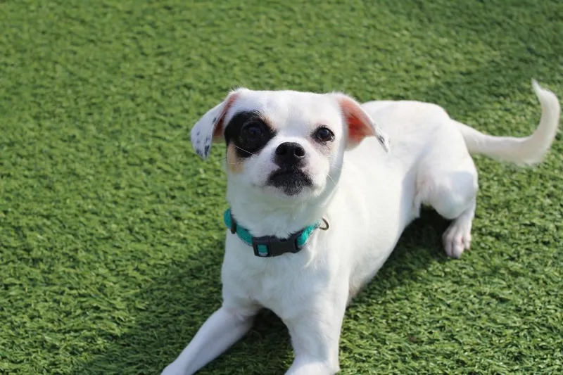 Kevin Costner thumbnail 5