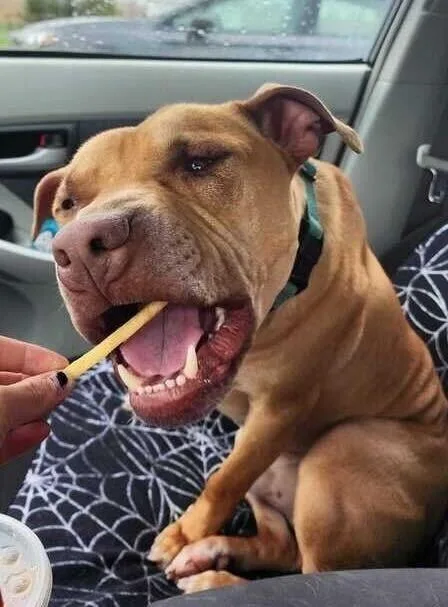 Caldwell thumbnail 2